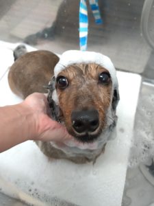 20251028_104815_copy_2700x3600_1