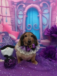 20251028_123554_copy_1965x2621