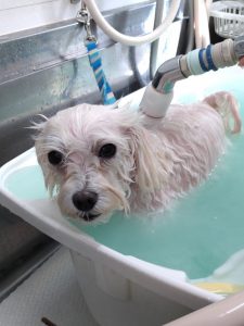 20251028_130647_copy_1998x2666