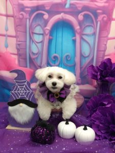 20251028_154426_copy_2042x2723