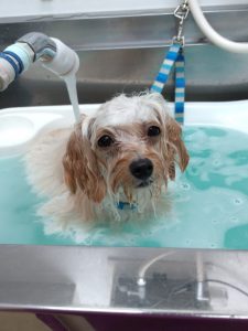 20251028_163508_copy_2068x2758