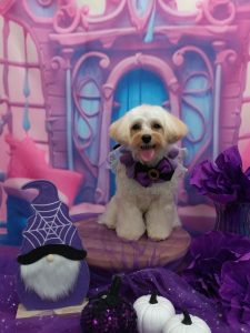 20251028_183434_copy_2017x2690