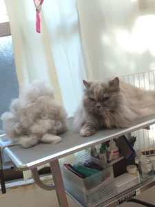 20251030_091004_copy_2022x2696