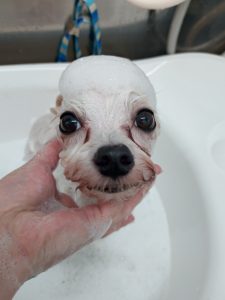 20251030_095224_copy_4377x5836