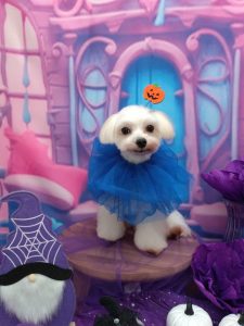 20251030_120713_copy_1858x2476