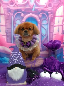 20251030_144336_copy_1987x2649