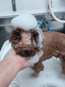 20251030_155010_copy_2598x3464