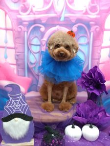 20251030_183747_copy_1958x2610