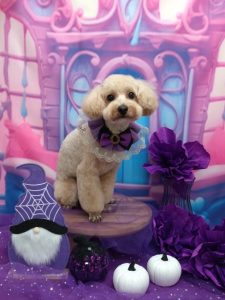 20251031_120730_copy_2061x2749