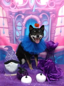 20251031_133555_copy_2009x2681