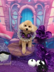 20251031_160834_copy_2055x2740