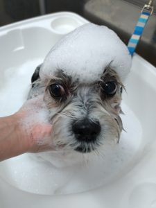 20251031_165021_copy_2142x2856