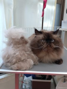 20251101_085837_copy_1838x2448