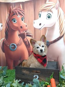 20251101_115755_copy_1943x2589