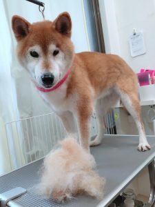 20251101_124531_copy_2614x3485_1