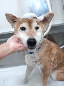 20251101_125854_copy_2581x3440