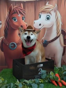 20251101_141127_copy_2027x2702