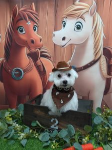 20251101_170930_copy_1899x2532