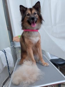 20251101_175629_copy_2752x3669_1