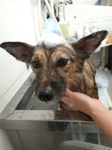 20251101_180334(1)_copy_2756x3675_1