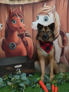 20251101_185705_copy_1825x2433