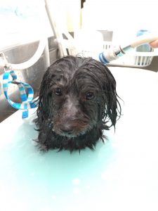 20251104_104603_copy_2010x2680