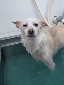 20251104_135725_copy_1944x2592