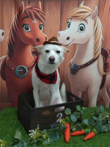 20251104_144009_copy_2007x2675