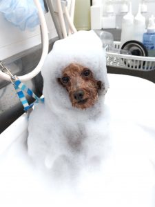 20251104_151949_copy_2014x2684