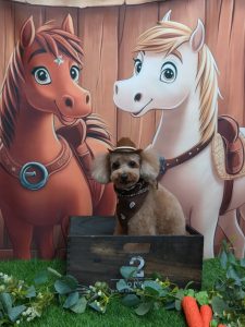 20251104_171912_copy_1919x2559