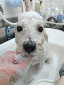 20251106_092034_copy_2700x3600_1