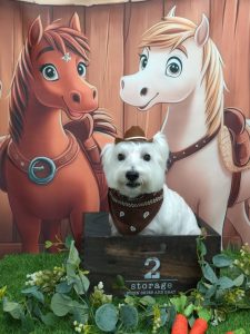 20251106_114405_copy_1877x2503