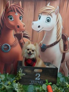 20251106_135420_copy_1986x2647