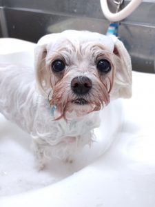 20251106_163941_copy_2713x3618