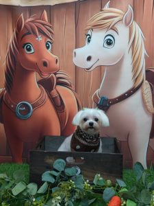 20251106_183824(1)_copy_1963x2618