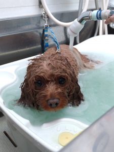 20251107_100601_copy_2106x2808