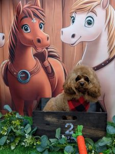 20251107_123930~2_copy_1802x2403