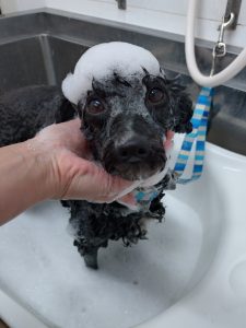 20251107_135322_copy_2404x3205