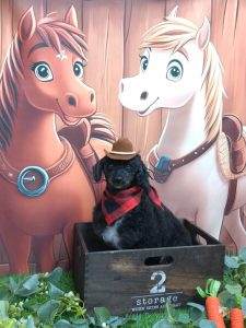 20251107_154607_copy_1896x2529