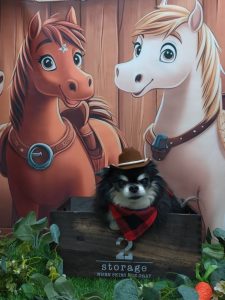 20251107_174239_copy_1946x2594