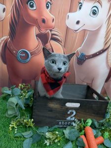 20251108_105201_copy_2914x3886_1