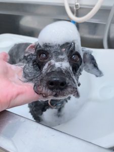 20251108_125303_copy_2700x3600