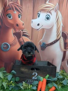 20251108_143240_copy_1942x2589