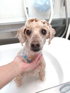 20251108_150444_copy_2837x3783