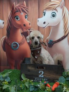 20251108_170354_copy_1933x2577