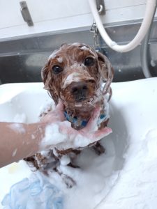 20251108_173741_copy_2700x3600_1