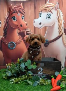 20251108_191015_copy_1903x2536~2_copy_1990x2762