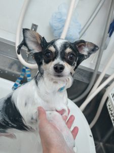 20251110_084952_copy_2700x3600