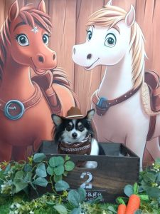 20251110_093828(1)_copy_1865x2487