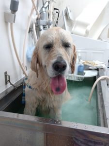 20251110_102129_copy_1944x2592